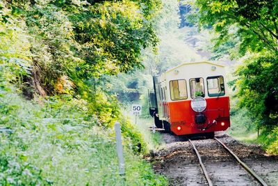 Train on railroad track