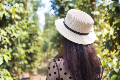 Rear view of woman wearing hat against trees