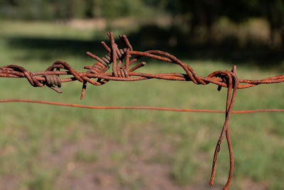 Close-up of rusty metallic barbed wire outdoors