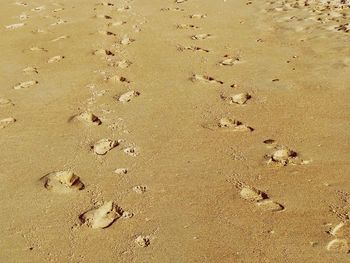 High angle view of footprints on sand