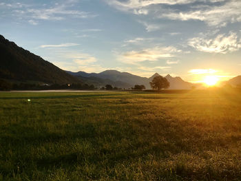 Scenic view of field against sky during sunset