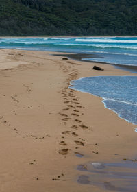 Scenic view of beach