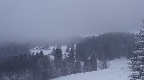 Trees on snow covered landscape against sky