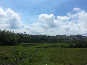 Scenic view of grassy field against cloudy sky