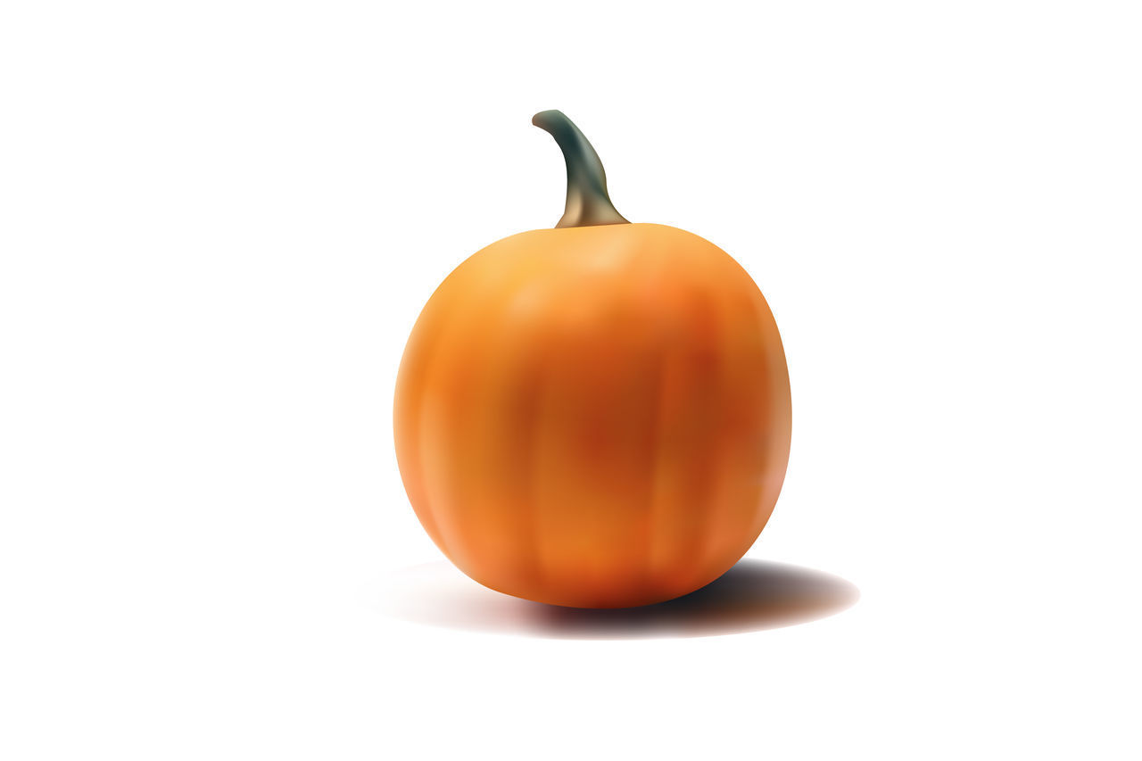 CLOSE-UP OF PUMPKIN AGAINST GRAY BACKGROUND