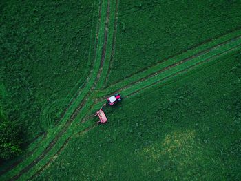 High angle view of people on field