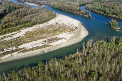 High angle view of river amidst trees