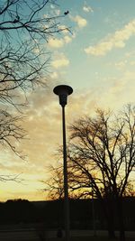 Silhouette of bare trees against sky at sunset