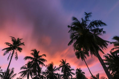 Low angle view of silhouette palm trees against sky