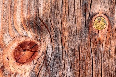 Close-up of wooden door
