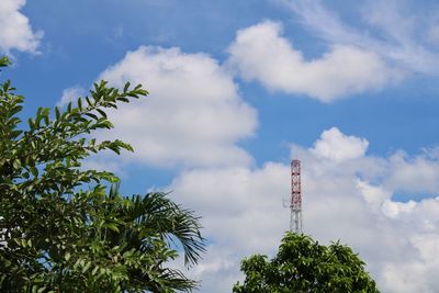 Low angle view of trees against sky