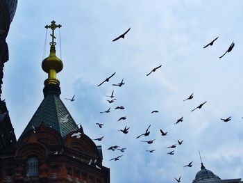 Low angle view of birds flying in city against sky