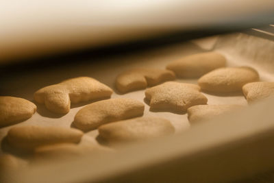 Close-up of cookies on table