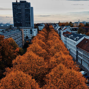 High angle view of trees and buildings against sky