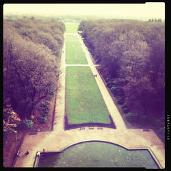 Scenic view of grass