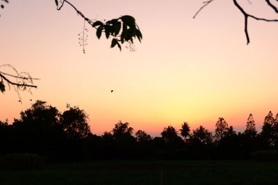 Silhouette bird flying against sky during sunset