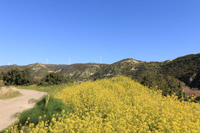 environment