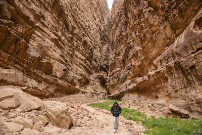 Rear view of person standing on rock