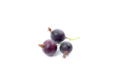 High angle view of berries against white background