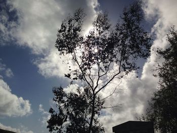 Low angle view of trees against cloudy sky