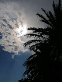 Low angle view of silhouette trees against sky