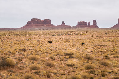 View of rock formations on landscape against sky