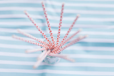 High angle view of heart shapes on straws in bottle on table