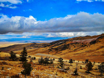 Scenic view of landscape against sky