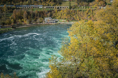 Scenic view of river amidst trees during autumn
