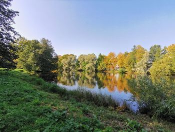 Trees by lake against clear sky