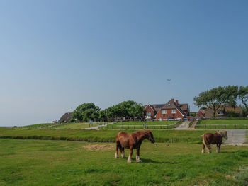 Hallig hooge in the north sea