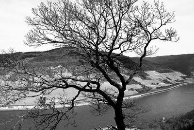 Bare tree by lake against sky