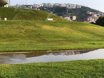 Scenic view of grassy field by lake