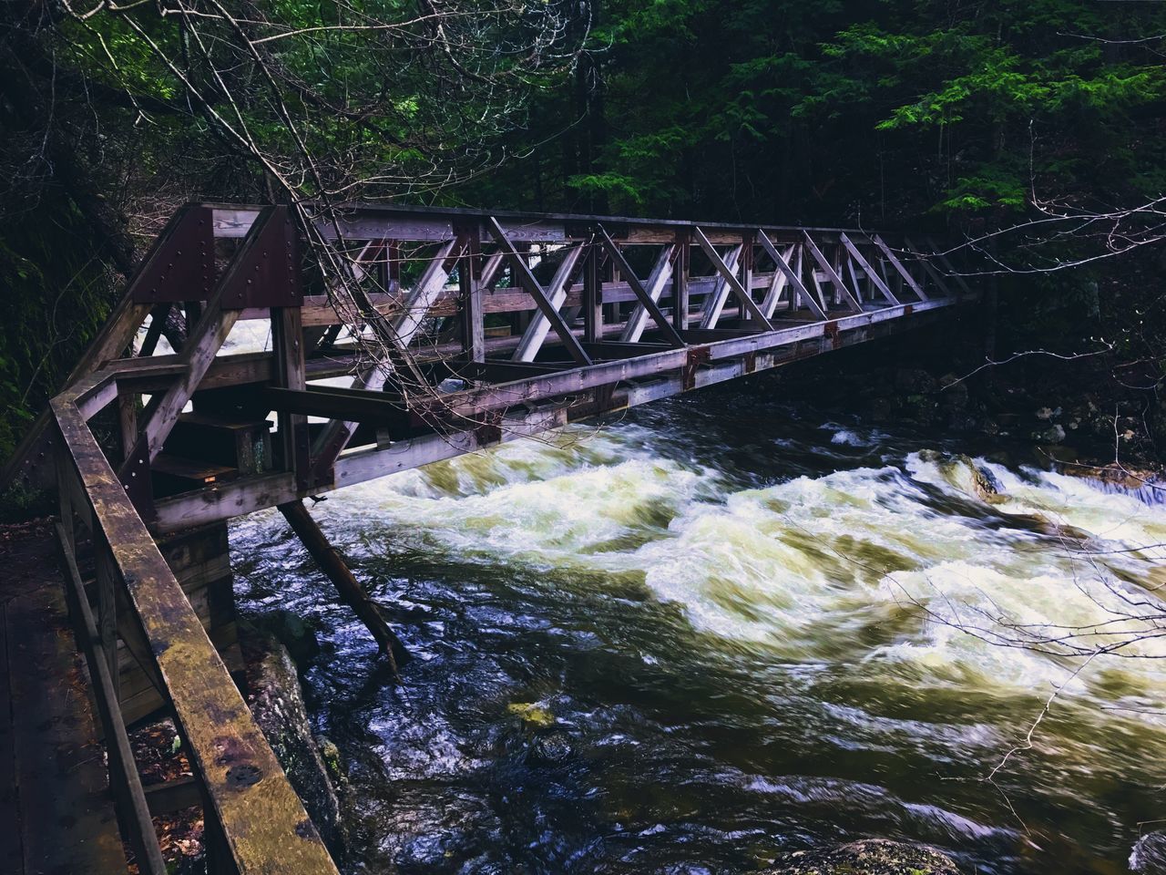 BRIDGE OVER RIVER AMIDST TREES