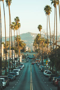 Panoramic view of palm trees in city against clear sky