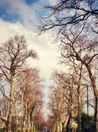 Low angle view of bare trees against sky