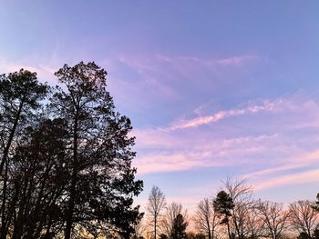 Low angle view of silhouette trees against sky during sunset