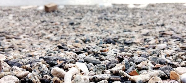 Close-up of pebbles