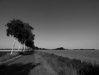 Trees on field against clear sky