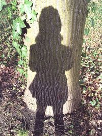 Shadow of man standing on tree trunk in forest