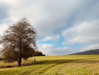 Scenic view of field against sky