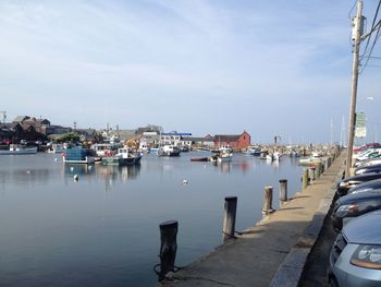 Sailboats moored on harbor against sky