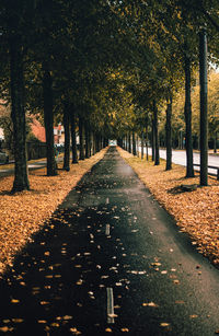 Footpath amidst trees in park during autumn