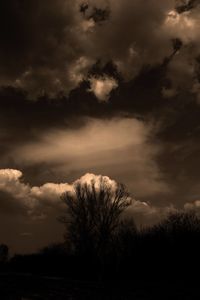 Silhouette trees on field against storm clouds