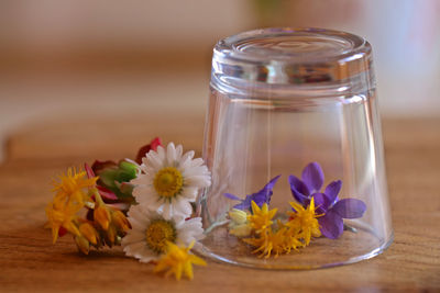 Close-up of flowers in jar on table