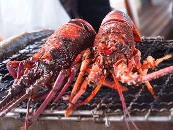 Close-up of lobsters on barbecue grill