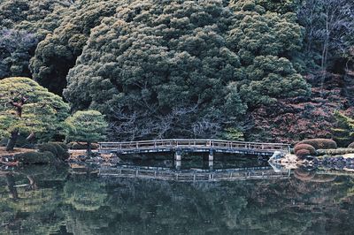 High angle view of trees by water