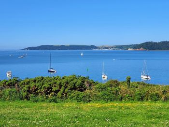 Scenic view of sea against clear blue sky