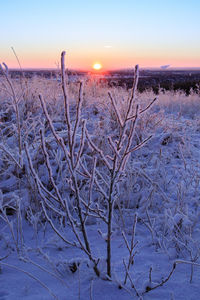 Snow covered land against sky