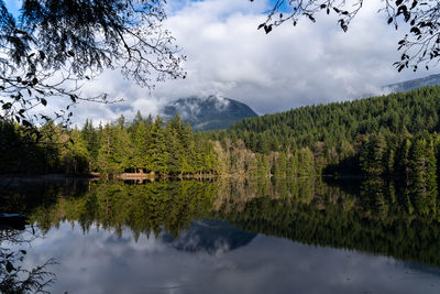 Scenic view of lake by trees against sky